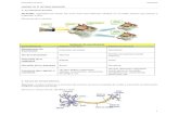 UNIDAD 10: EL SISTEMA NERVIOSO 1.- LA FUNCIÓN DE 10+Sistema+Nervioso+... · PDF fileComponentes del Sistema nervioso Sistema Nervioso Central ... (Clasificación funcional) Sistema