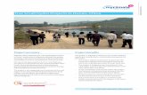 Five Small Hydro Projects in Hunan, China - myclimate · PDF fileFive Small Hydro Projects in Hunan, China ... With the carbon offset project “Five Small Hydro Projects ... a power