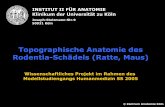 Topographische Anatomie des Rodentia-Schädels (Ratte, Maus) · PDF fileRatte und Maus sind weit verbreitete Versuchstiere in biomedizinischen ... Care and Management of Laboratory