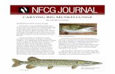 CARVING BIG MUSKELLUNGE - Charles Weiss · PDF file1 carving big muskellunge by charles weiss n a t i o n a l f i s h c a r v e r s g u i l d Ł j o u r n a l s e v e n t e e n Ł