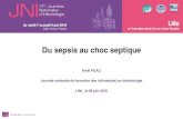 Du sepsis au choc septique - SPILF - · PDF file17. es. JNI, Lille, du 7 au 9 juin 2016 . Un continuum . SRIS . SEPSIS SEPSIS . SEVERE CHOC SEPTIQUE . INFECTION . Adapté de Bone et