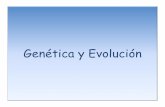 Genética y Evolución - ecaths1.s3.amazonaws.comecaths1.s3.amazonaws.com/geneticafaz/279884848.Evolucion.pdf · Aberraciones cromosómicas: cambios en la estructura de los cromosomas.
