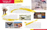 Visito Mi Región -  · PDF fileempezaron a fabricar las empanadas y, ... reineta con papas fritas y sopa de manchas. ... cuatro horas al fuego para convertirse en manjar