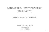 CADASTRE SURVEY PRACTICE (SGHU 4323)fght.utm.my/tlchoon/files/2015/12/12-eCadastre-SV.pdf · CADASTRE SURVEY PRACTICE (SGHU 4323) WEEK 11-eCADASTRE SR DR.TAN LIAT CHOON 07-5530844