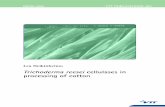 VTT PUBLICATIONS Trichoderma reesei cellulases in ... · PDF filewoven fabrics and interlock knitted fabric, ... Trichoderma reesei cellulases on the properties of ... of Trichoderma