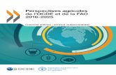 Perspectives agricoles de l'OCDE et de la FAO 2016- · PDF filePerspectives agricoles de l’OCDE et de la FAO 2016‑2025 ChAPitrE sPéCiAl : AFriquE subsAhAriEnnE Perspectives agricoles