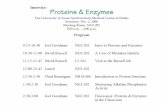 Proteins and Enzymes - UT Southwestern · PDF fileIntroduction to Proteins and Enzymes • Basics of protein structure and composition • The life of a protein • Enzymes – Theory