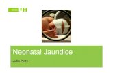 Neonatal Jaundice - University of Hertfordshire of Jaundice Bilirubin â€“a product of haem breakdown, the red protein of the erythrocyte, processed in the liver and spleen. Bilirubin