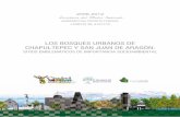 LOS BOSQUES URBANOS DE CHAPULTEPEC Y SAN …martha.org.mx/.../wp-content/uploads/2013/09/06-Bosques-Urbanos.pdf · 4 LIBROS BLANCOS Preguntarnos acerca de cómo concebimos los bosques