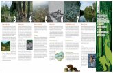AU Folder 14Seiter 99x210 SK - life-march.atlife-march.at/downloads/Folder_SK_final.pdf · vody, ale aj cenné živiny, preto niektoré lužné lesy pripomínajú tropické pralesy.