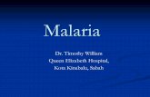 Malaria - Ministry of · PDF fileMalaria: introduction 3.3 billion at risk Estimated 250 mill cases per year Nearly 1 million deaths per year Huge advances in malaria control over