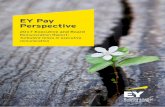 EY Pay Perspective - United StatesFILE/EY-pay-perspective-2017… · EY Pay Perspective 2017 Executive and Board Remuneration Report: Turbulent times in executive remuneration