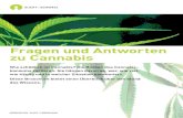Fragen und Antworten zu Cannabis - Sucht · PDF fileFragen und Antworten zu Cannabis Wie schädlich ist Cannabis? Die Risiken des Cannabis­ konsums variieren. Sie hängen davon ab,