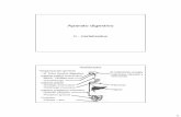 Aparato digestivo-II: Vertebrados - introducción, boca e ...organografia.unileon.es/html/PDF/Aparato digestivo_II.pdf · –Anamniotas: simple cúbico, ciliado en anfibios ... •Muscular