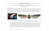 Mini Risk Assessment False codling moth, Thaumatotibia ... · PDF fileCAPS PRA: Thaumatotibia leucotreta Mini Risk Assessment False codling moth, Thaumatotibia (=Cryptophlebia) leucotreta