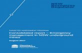 TARGETED ASSESSMENT PROGRAM Consolidated report Emergency ... · PDF fileTARGETED ASSESSMENT PROGRAM Consolidated report – Emergency ... hazards and the hazard ... the primary emergency