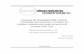 Governo de Transição FHC-LULA - · PDF fileGoverno de Transição FHC-LULA: Constituição, funcionamento e resultados dos trabalhos realizados pela equipe do governo de transição