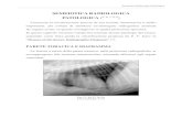 Semeiotica Radiologica Patologica - Area-c54.it radiologica patologica.pdf · Semeiotica Radiologica Patologica _____ ...