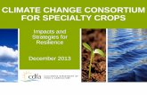 CLIMATE CHANGE CONSORTIUM FOR SPECIALTY CROPS · PDF fileCLIMATE CHANGE CONSORTIUM FOR SPECIALTY CROPS Impacts and Strategies for Resilience . December 2013