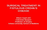 SURGICAL TREATMENT IN FISTULOUS CROHN’S DISEASE · PDF fileSURGICAL TREATMENT IN FISTULOUS CROHN’S DISEASE ... Tremaine W et al The natural history of surgery for Crohn’s disease