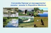 Convenția Ramsar și managementul zonelor umede în ... Josu_24.10.2012.pdf · -a importanţei acestor zone ca resurse de mare valoare economică, naturală, ştiinţifică şi ...