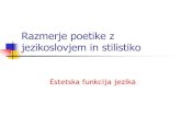 Razmerje poetike z jezikoslovjem in stilistikostudentski.net/get/ulj_fdv_nv1_ost_sno_razmerje_poetike_z... · ROMAN JAKOBSON Roman Jakobson (1896–1982) -Dva vidika jezika in dve