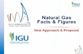 Natural Gas Facts & Figures - International Gas · PDF fileNatural Gas reserves: ... The total long-term recoverable conventional gas resource base is more than 400 tcm, another 400