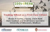 Treating Wheat as a First Class Citizen - Windows · PDF fileTreating Wheat as a First Class Citizen Shawn P. Conley, ... Know the disease reaction for the wheat variety ... PowerPoint