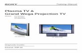 Plasma TV & Grand Wega Projection TV - Plasma Training-1.pdf · PDF file1 Sony Model KZ-32TS1U // KZ-41TS1U TV Diagnostic Guide Sony Plasma TV KZ-32TS1U/KZ-41TS1U Introduction This