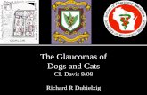 The Glaucomas of Dogs and Cats - In Focus · PDF fileThe Glaucomas of Dogs and Cats CL Davis 9/08 Richard R Dubielzig. Definition of Glaucoma Intraocular pressure too high for the