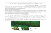 THE IMPACT OF HUMAN INTERVENTION ON THE FOREST …biozoojournals.ro/oscsn/cont/29_2/39_Iordache.pdf · THE IMPACT OF HUMAN INTERVENTION ON THE FOREST ... temporale ale fondului forestier