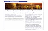 Steam trap maintenance at Petrobras results in energy … rlam.pdf · Steam trap maintenance at Petrobras results in ... That all steam traps in vertical ... Steam trap maintenance