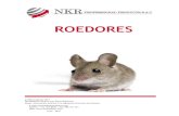 ROEDORES - nkrproducts.comnkrproducts.com/wp-content/uploads/2017/05/roedores.pdf · También pueden ser reservorios de ... de no tener caninos, y de tener uno o dos pares de incisivos
