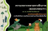 ความหลากหลายทางชีวภาพ (BIODIVERSITY) · PDF fileความหลากหลายทางชีวภาพ (biodiversity) ผศ. ดร.