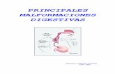 PRINCIPALES MALFORMACIONES   malformaciones digestivas. A. Cuarro Alonso. PRINCIPALES MALFORMACIONES DIGESTIVAS. Si bien la mayora de las