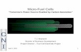 Fuel Cell Project Presentation 040405 - · PDF filenanotechnology IP from ... Potential Portable Electronic Market Size for Micro-Fuel Cell Technology 400 ... Fuel Cell Project Presentation
