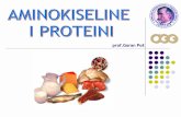 prof.Goran Poš · PDF fileAMINOKISELINE – elementarne jedinke proteina (belančevina) AMINO-(karboksilne)-KISELINE-NH 2 grupa -COOH grupa - retko se nalaze u slobodnom stanju