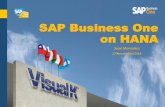 SAP Business One on HANA - SAP Software Solutions · PDF fileQué incluye: SAP Business One, versión for SAP HANA Un Sistema único para transacciones y análisis. Altamente escalable,