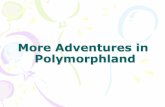 More Adventures in Polymorphland - polycrystalline.it 2012/PDF/Bernstein.pdf · Starring Andreas Lemmerer, Joel Bernstein, Volker Kahlenberg, Daniel M. Többens, Ulrich Griesser,