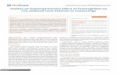Studies on Hepatoprotective Effect of Pentoxifylline on …medcraveonline.com/ICPJL/ICPJL-01-00021.pdf · Studies on Hepatoprotective Effect of Pentoxifylline on CCl 4 Induced Liver