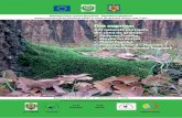 Din cuprins - Management comun Romania - Republica …biodiversitatecbc-apmis.ro/new/down/buletin inf no 5 .pdf · Haiducul Coroi se ascundea în pădurile din zonă, pândind convoaiele