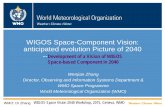 WIGOS Space-Component Vision: anticipated evolution Picture · PDF fileWIGOS Space-Component Vision: anticipated evolution Picture of 2040 --Development of a Vision of WIGOS Space-based