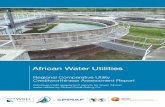 Regional Comparative Utility Creditworthiness Assessment ... · PDF fileAfrican Water Utilities Regional Comparative Utility Creditworthiness Assessment Report Individual credit assessment