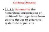 7.L.1.3 Summarize the hierarchical organization of multi-cellular ...mrspruillscience.weebly.com/uploads/1/3/4/0/13408645/g7_body... · hierarchical organization of multi-cellular
