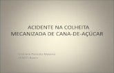 ACIDENTE NA COLHEITA MECANIZADA DE CANA-DE · PDF file•A colheita de cana-de-açúcar sempre foi muito estudada, pois os trabalhadores quando não morriam por exaustão, adoeciam