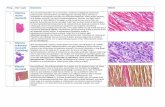 Præp. Væv + pato Beskrivelse · PDF file16 Bronko-pneumoni Bronkopneumoni (lungebetændelse). Snit fra en lunge med svære inflammatoriske forandringer. Den normale opbygning med