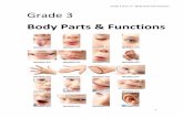 Grade 3 Unit L.4 Body Parts and Functions Grade 3 · PDF fileGrade 3 Unit L.4 – Body Parts and Functions 2 The human body is like a machine. It has many organs (parts) inside. These