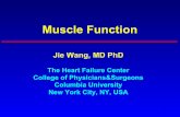 Muscle Function - Columbia University in the City of New · PDF fileMuscle Function Jie Wang, ... skeletal, cardiac and smooth muscle. 3 ... The nerve continues to function properly