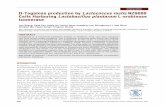 h D-Tagatose production by Lactococcus lactis NZ9000 …ijper.org/sites/default/files/10.5530ijper.51.2.34.pdf · D-Tagatose production by Lactococcus lactis NZ9000 ... pCYT-araA