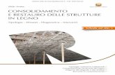 Consolidamento e restauro delle strutture in legno · PDF fileConsolidamento e restauro delle strutture in legno 8 continuo aggiornamento per il contributo che lo sviluppo della tecnologia